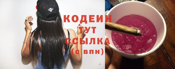 первитин Новодвинск