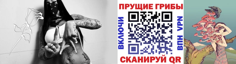 где купить наркоту  Кукмор  ссылка на мегу ONION  Галлюциногенные грибы Cubensis 